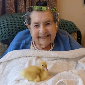 Getting Friendly with the Residents - Rest Home Chichester